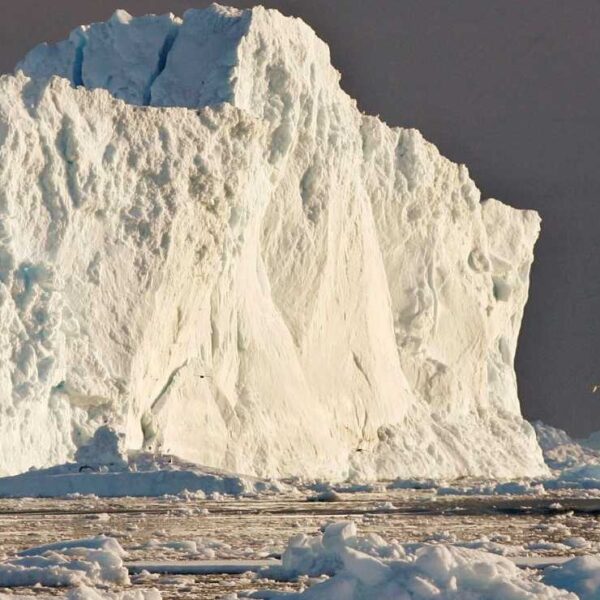 Se desprende el Iceberg más grande llamado A-76 de la Antártida; ¿Traería consecuencias?