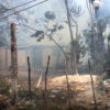 Fuego arrasa con dos palapas en invasión de Tulum