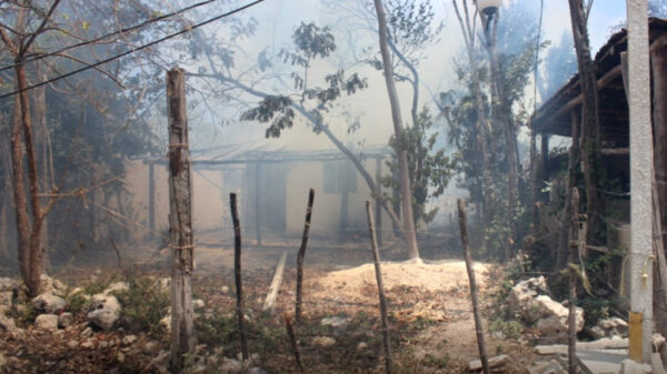 Fuego arrasa con dos palapas en invasión de Tulum