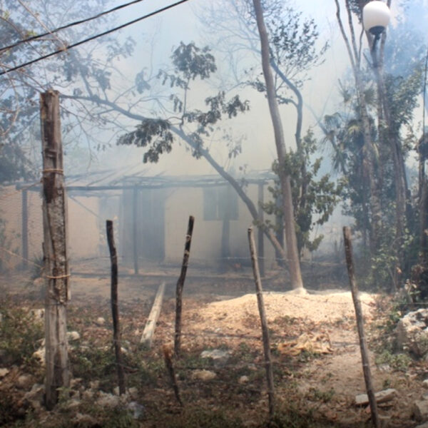 Fuego arrasa con dos palapas en invasión de Tulum
