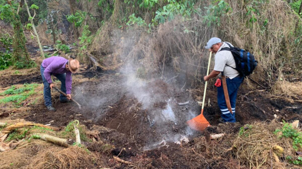Brigadas comunitarias y Conafor liquidan incendios en Leona Vicario