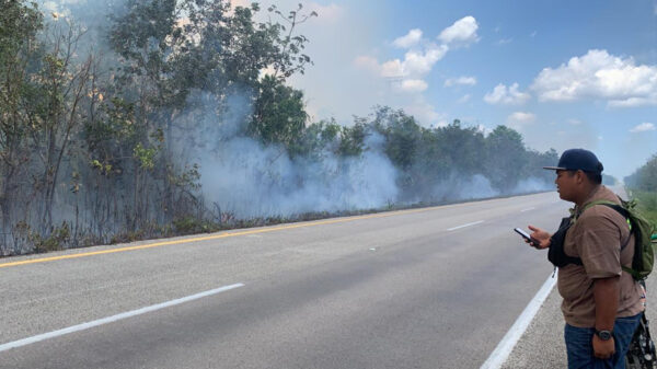 Asolan incendios forestales a Puerto Morelos