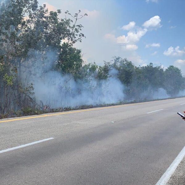 Asolan incendios forestales a Puerto Morelos