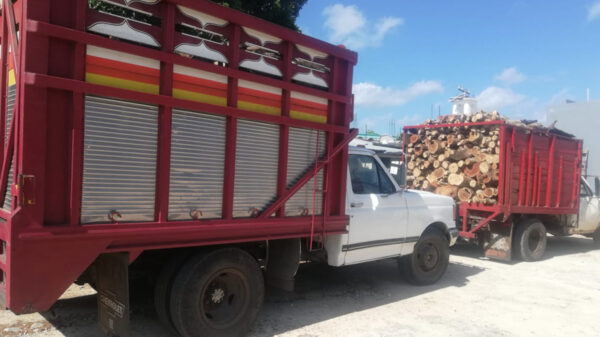 Decomisan cargamento de madera ilegal en Kantunilkín