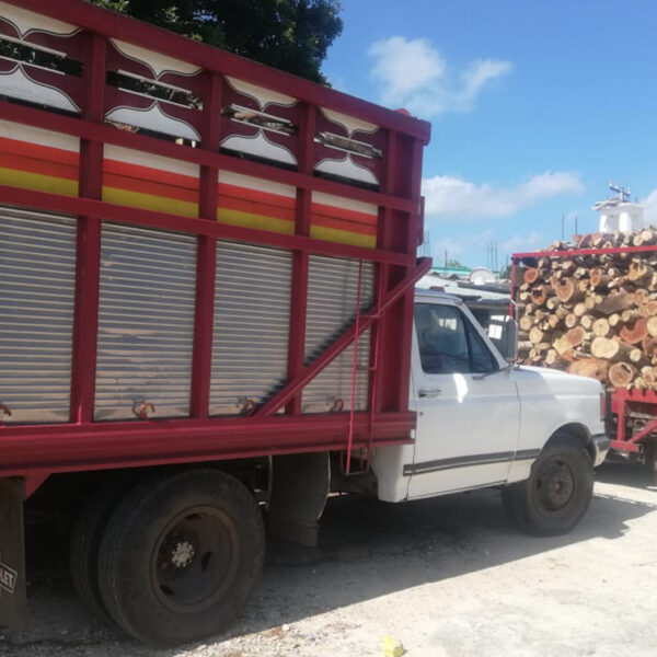 Decomisan cargamento de madera ilegal en Kantunilkín