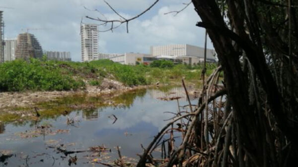 Frena juez federal PDU de Puerto Morelos