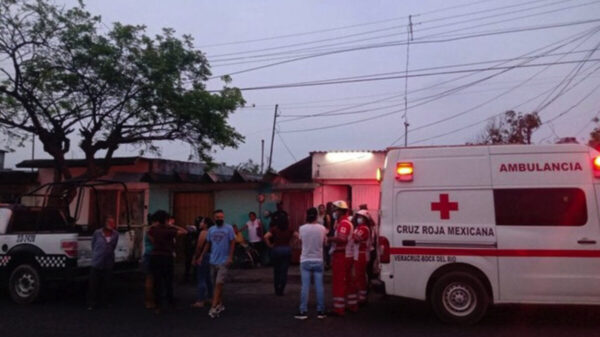 Perro pitbull mata a mujer de la tercera edad, en Veracruz