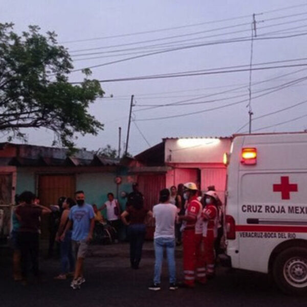 Perro pitbull mata a mujer de la tercera edad, en Veracruz