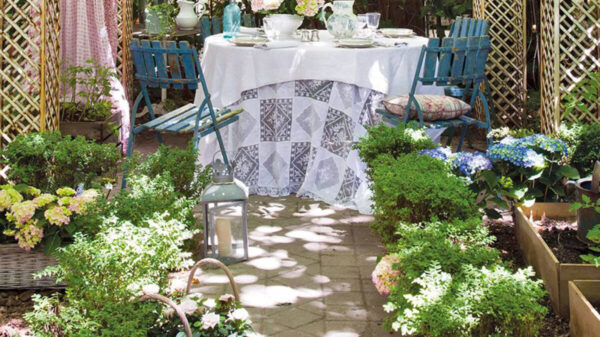 Estas plantas protegen tu casa de malas vibras