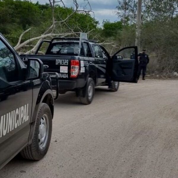 Joven encuentra el cuerpo de un hombre colgado en un área verde de Umán