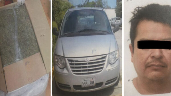 Cancún: Sentencian a 7 años de prisión a traficante de marihuana.