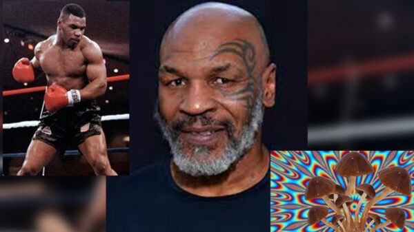 Mike Tyson, salvado por los hongos alucinógenos
