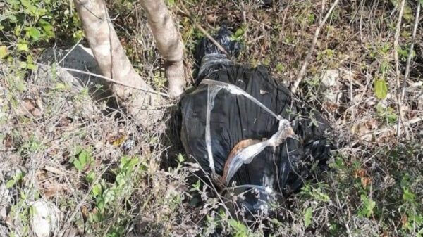 Hallan un cuerpo embolsado sobre la carretera a Akumal