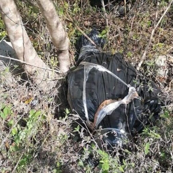 Hallan un cuerpo embolsado sobre la carretera a Akumal