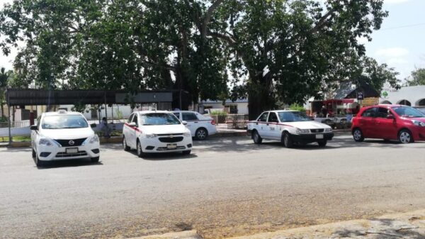 Aclara líder taxista de Kantunilkín que no recibió dinero de candidato del PAN.