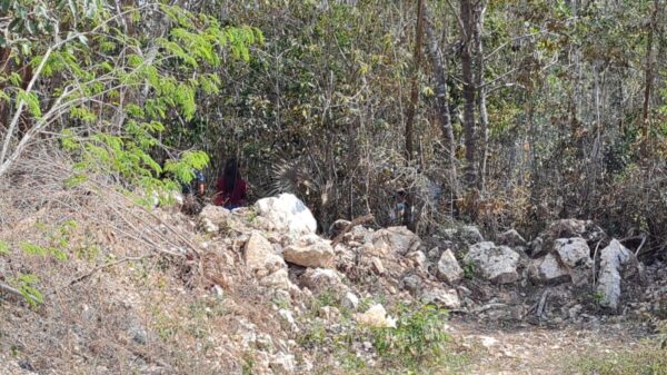 Cancún: Atienden reporte de incendio y hallan restos humanos.