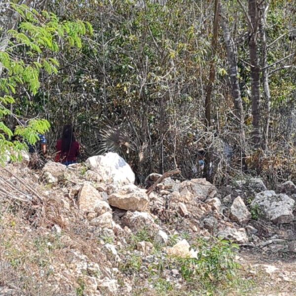 Cancún: Atienden reporte de incendio y hallan restos humanos.