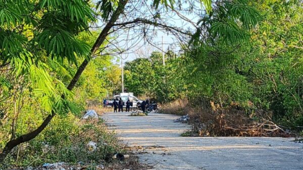 el fraccionamiento Lagos de Cancún (VIDEO).