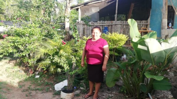 Siguen sin repuntar las ventas para viveristas de Lázaro Cárdenas.