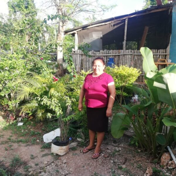 Siguen sin repuntar las ventas para viveristas de Lázaro Cárdenas.