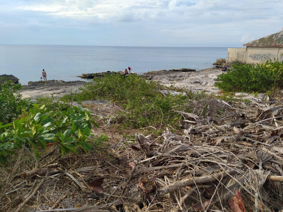 En este terreno se construiría el emblemático parque del Sol Atardecer Maya.