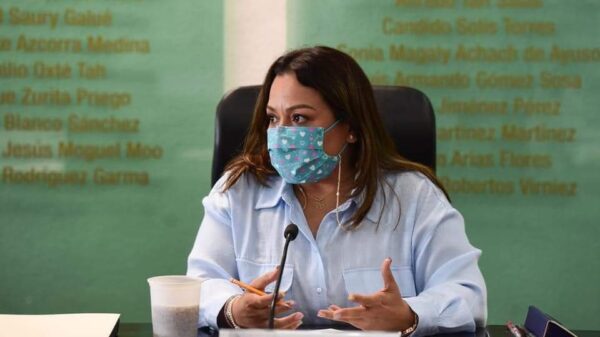 Los priistas Candelaria Ayuso y José Alonso sí cometieron violencia política contra diputada.