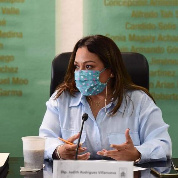 Los priistas Candelaria Ayuso y José Alonso sí cometieron violencia política contra diputada.