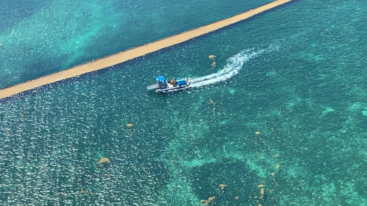 Recolecta Semar más de 10 mil toneladas de sargazo en Quintana Roo; la Marina da a conocer los trabajos del 6 de marzo al 23 de mayo.