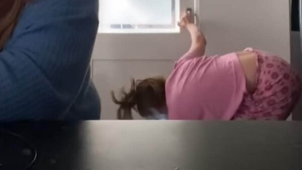 Tras el surgimiento de la pandemia del Covid-19, el uso de las videollamadas se volvió un actividad cotidiana y también ha traído jocosas anécdotas