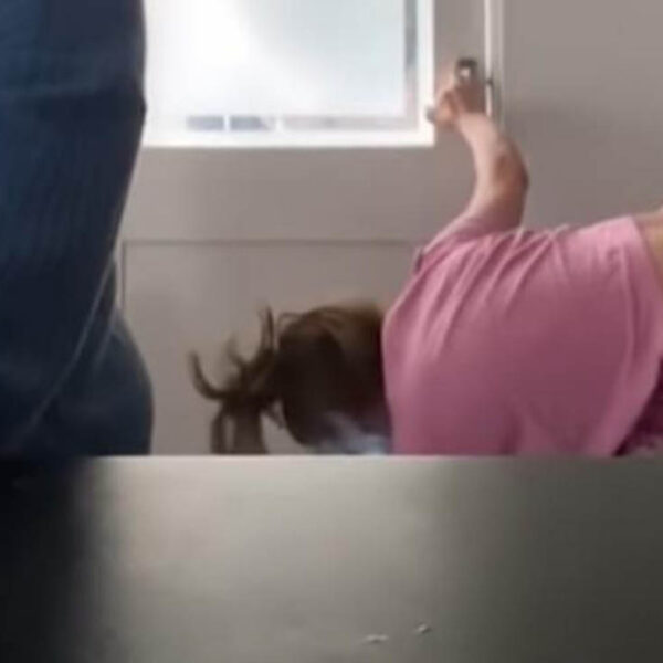 Tras el surgimiento de la pandemia del Covid-19, el uso de las videollamadas se volvió un actividad cotidiana y también ha traído jocosas anécdotas