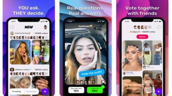 NewNew es una plataforma que lleva la relación entre creadores de contenidos y sus audiencias un paso más lejos