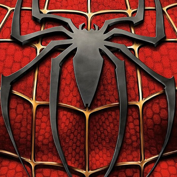 El caso de tres niños de Bolivia que molestaban a una araña para que los mordiera y así tener los poderes del hombre araña se viraliza