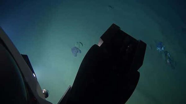 La contaminación llega a lugares inimaginables, prueba de ello, fue el hallazgo de bolsas de plástico, en la tercera fosa más profunda del mundo