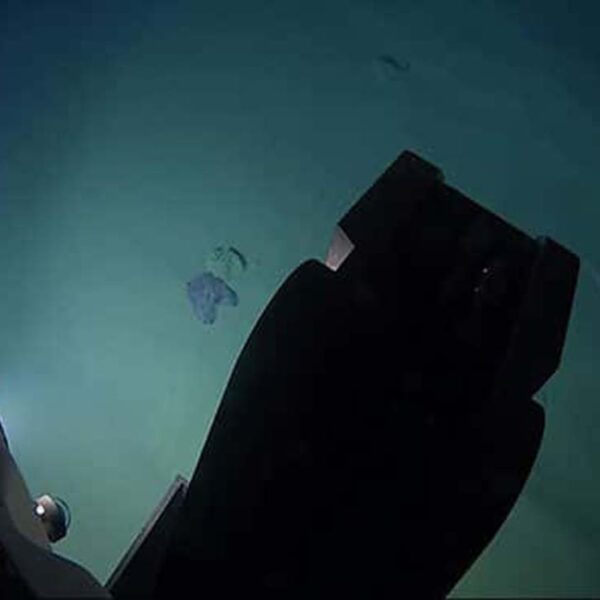 La contaminación llega a lugares inimaginables, prueba de ello, fue el hallazgo de bolsas de plástico, en la tercera fosa más profunda del mundo