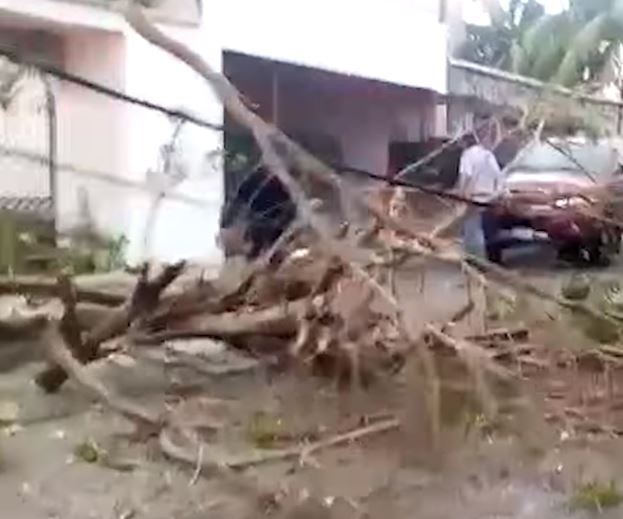 Fuertes lluvias en Yucatán dejó inundaciones