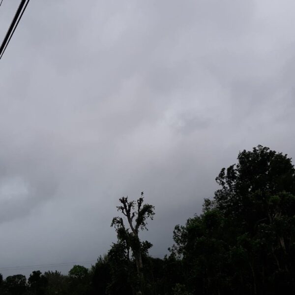 Más lluvias para este inicio de semana en Yucatán; se esperan temperaturas de 36 grados