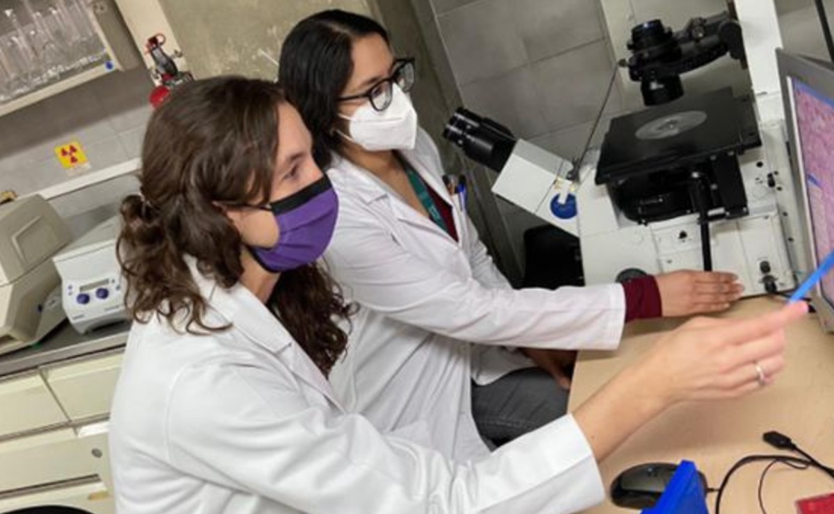 Científicos de la UNAM que buscan tratar la lupus, invitan a yucatecos a registrarse en plataforma