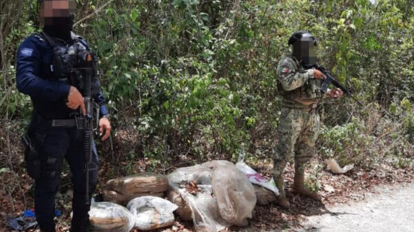 Encuentran costales de mariguana cerca de ciudad militar Cancún