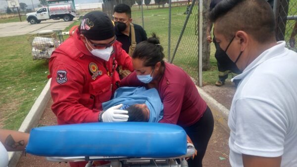 Menor de edad es mordido por una víbora de cascabel