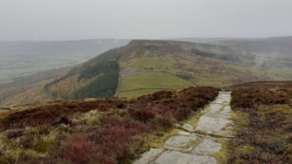 Mientras daba un paseo nocturno en la reserva natural en Meze Parke, en Reino Unido, un hombre fue abusado sexualmente