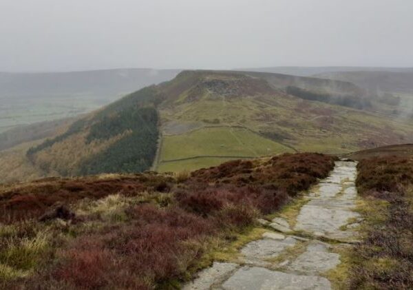 Mientras daba un paseo nocturno en la reserva natural en Meze Parke, en Reino Unido, un hombre fue abusado sexualmente