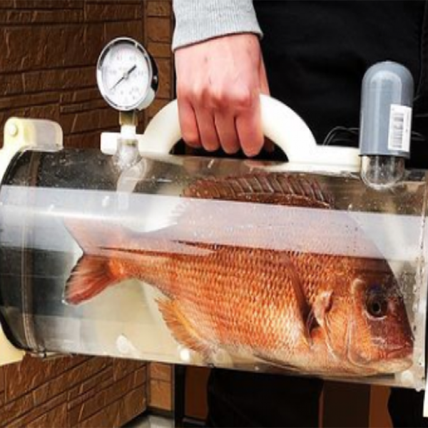 Pasear a las mascotas parece ser exclusivo a perros, gatos o animales convencionales, pero ahora será posible salir a la calle con los peces