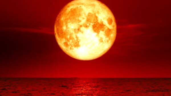Eclipse de Luna de Sangre y Superluna de flores; así se vio en México