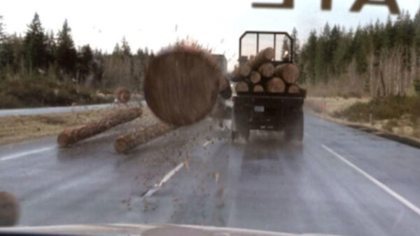 Un video en el que se muestra un accidente en una carretera con imágenes que parecieran salidas de una película se viraliza en TikTok