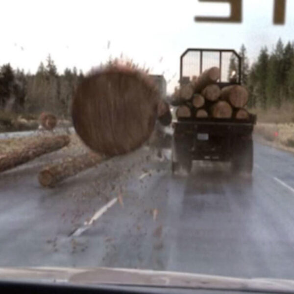 Un video en el que se muestra un accidente en una carretera con imágenes que parecieran salidas de una película se viraliza en TikTok