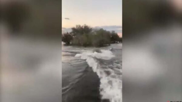 Los animales protegen su hábitat, prueba de ello, es la historia de este hipopótamo que persiguió a unos turistas para expulsarlos de su territorio