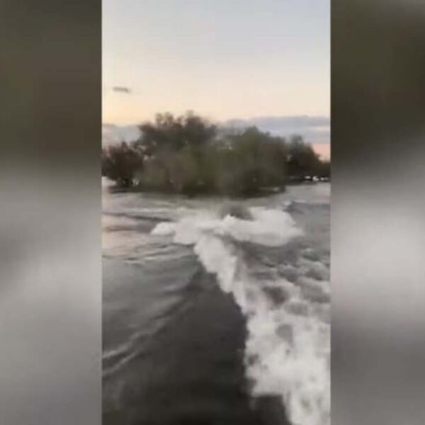 Los animales protegen su hábitat, prueba de ello, es la historia de este hipopótamo que persiguió a unos turistas para expulsarlos de su territorio