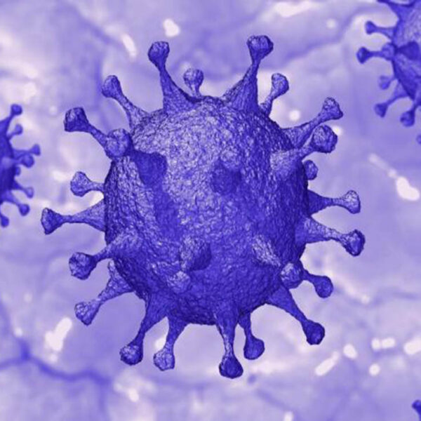 Investigadores encabezados por Arum Han, descubrieron que existe una forma de eliminar la capacidad de contagio del Covid-19