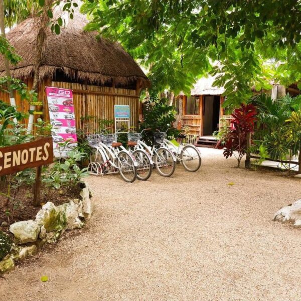 Busca diputada detonar turismo rural en Centro y Sur de Quintana Roo.