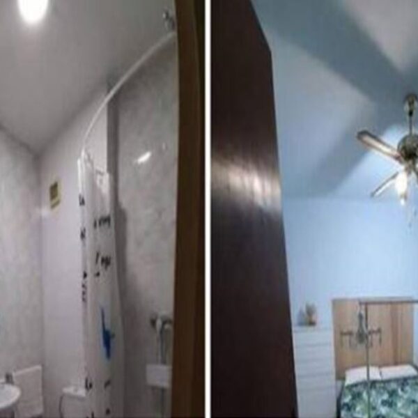 La renta de un departamento publicada en redes sociales se viraliza, ya que este peculiar anuncio refiere que además de contar con todos los servicios incluye dos gatos